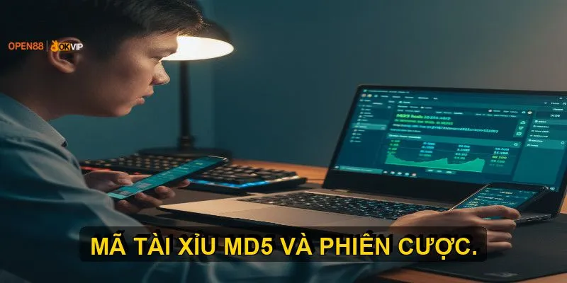 Hướng dẫn chi tiết cách kiểm tra kết quả tài xỉu md5 chính xác