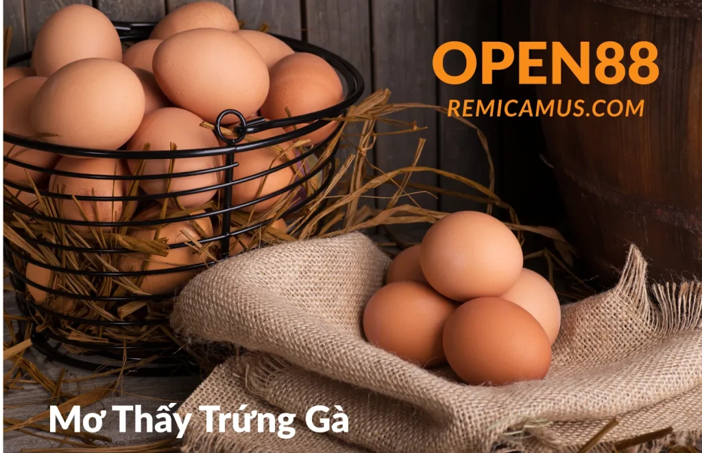 Mơ thấy trứng gà là điềm gì? 1 Mơ thấy trứng gà - Open88